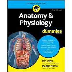 Anatomy & Physiology for Dummies, 3rd Edition (For Dummies (Lifestyle)) (Paperback, 2017)