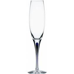 Orrefors Intermezzo Champagneglass 26cl