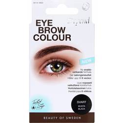 Depend Perfect Eye Brow Colour #4900 Black
