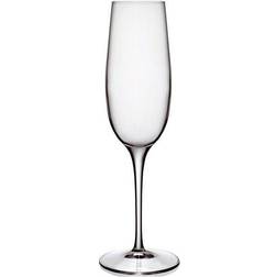 Luigi Bormioli Palace Champagne Glass 23.5cl 6pcs