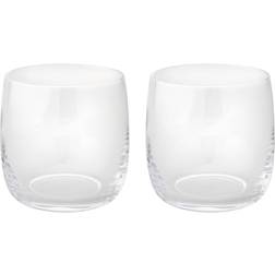 Stelton Foster Tumblerglas 20cl 2Stk.