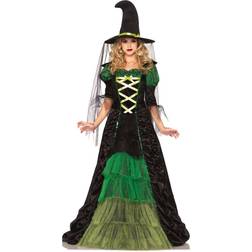 Leg Avenue Storybook Witch Costume