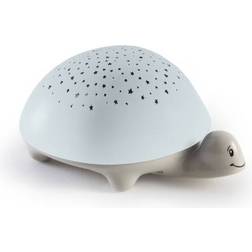 Pabobo Tortue Nattlampe