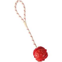 Trixie Ball on a Rope 4