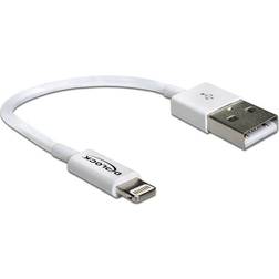 USB A - Lightning 0.2m