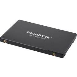 Gigabyte GP-GSTFS31120GNTD 120GB