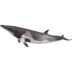 Collecta Minke Whale 88862