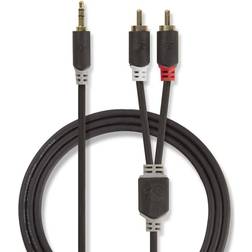 Stereo 2RCA-3.5mm 5m