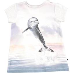 Molo Corina - Jumping Dolphin (4S18E112 2623)