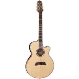 Takamine TSP138C