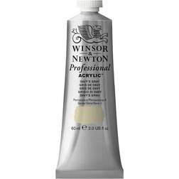 Winsor & Newton Professional Acrylic Davy's Gray 60ml