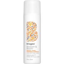 Briogeo Blossom & Bloom Ginseng + Biotin Volumizing Conditioner 8fl oz