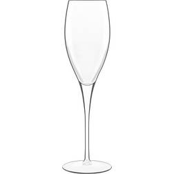 Luigi Bormioli Michelangelo Gold Prosecco Champagne Glass 22cl 4pcs