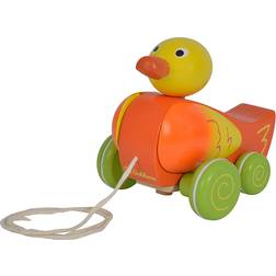 Eichhorn Squirrel Pulling Animal Duck