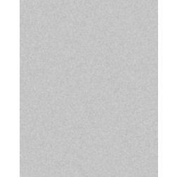 Colorama Colormatt Background 1x1.3m Dove Grey