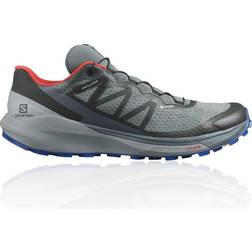 Salomon Sense Ride 4 Invisible Fit GTX M - Stormy Weather/Quarry/Cherry Tomato