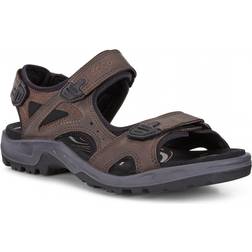 ecco Offroad 3S POC - Espresso/Cocoa Brown