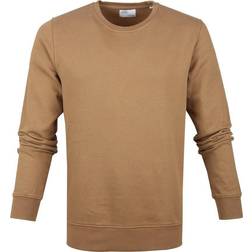 Colorful Standard Classic Organic Crew Sweatshirt - Sahara Camel