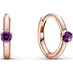Pandora Solitaire Huggie Hoop Earrings - Rose Gold/Purple