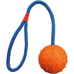 Trixie Ball on a Rope
