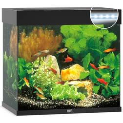 Juwel Lido 120 LED Aquarium