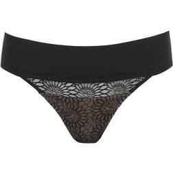 PrimaDonna Sophora Thong - Black