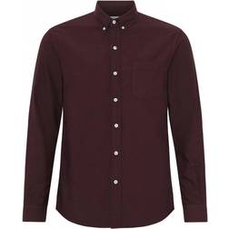 Colorful Standard Organic Button Down Shirt Unisex - Oxblood Red