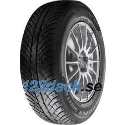 Coopertires Discoverer Winter 205/55 R17 95V XL