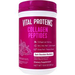 Vital Proteins Collagen Peptides Dark Chocolate Blackberry 305g