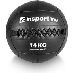 inSPORTline Wallball SE, 14 kg