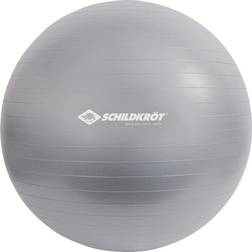 Schildkröt Fitness Gymnastikball Medicine Ball 65cm