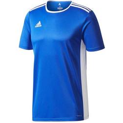 Adidas Entrada 18 Jersey Men - Bold Blue/White