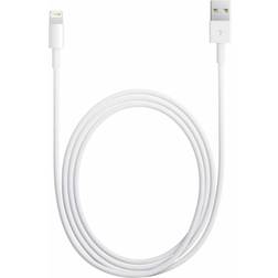 Apple USB A - Lightning M-M 3.3ft