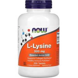 Now Foods L-Lysine 500mg 250 Stk.