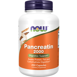 Now Foods Pancreatin 2000 250 Stk.