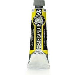 Royal Talens Artist's Oil Colors permanent lemon yellow 40 ml 254