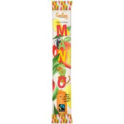 Smiling Fruit Bar Mango 27g