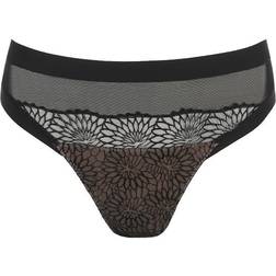 PrimaDonna Sophora Rio Briefs - Black