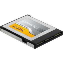 DeLock CFexpress 256GB