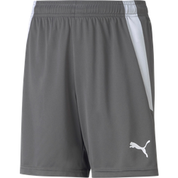 Puma Kid's TeamLIGA Shorts - Grey/White (704931-13)