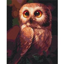 Symag Paint it! Owl