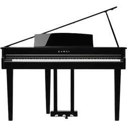 Kawai DG-30