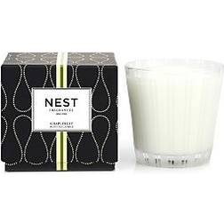 Nest Grapefruit Scented Candle 22.7oz