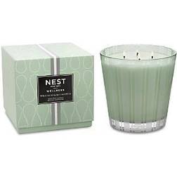 Nest Wild Mint & Eucalyptus Luxury Scented Candle 43.7oz