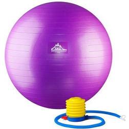 PSPURP 65CM 2000 lbs Professional Grade Stability Ball with Pump, 65 cm