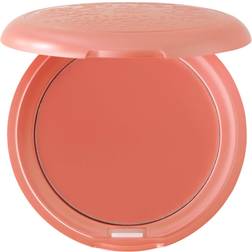 Stila Convertible Color Gerbera