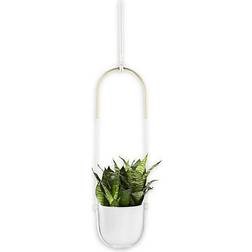 Umbra Bolo Hanging Pot Ø 7.38" ∅18.745cm