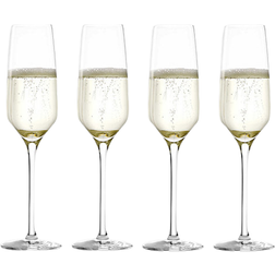 Stölzle Lausitz Experience Champagne Glass 18.4cl 4pcs