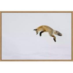 Amanti Art Red Fox in Snow Framed Art 59.2x40.6cm