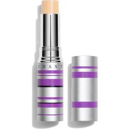 Chantecaille Real Skin Eye And Face Stick 2